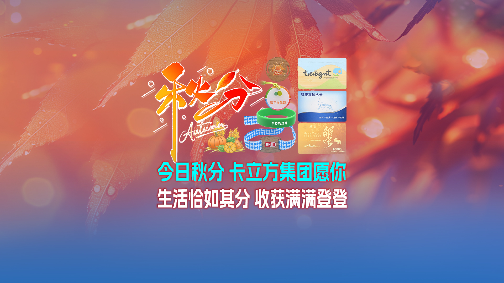 秋分至，卡立方集團智能卡工廠以RFID多元化物聯網產品科技賦能萬物互聯