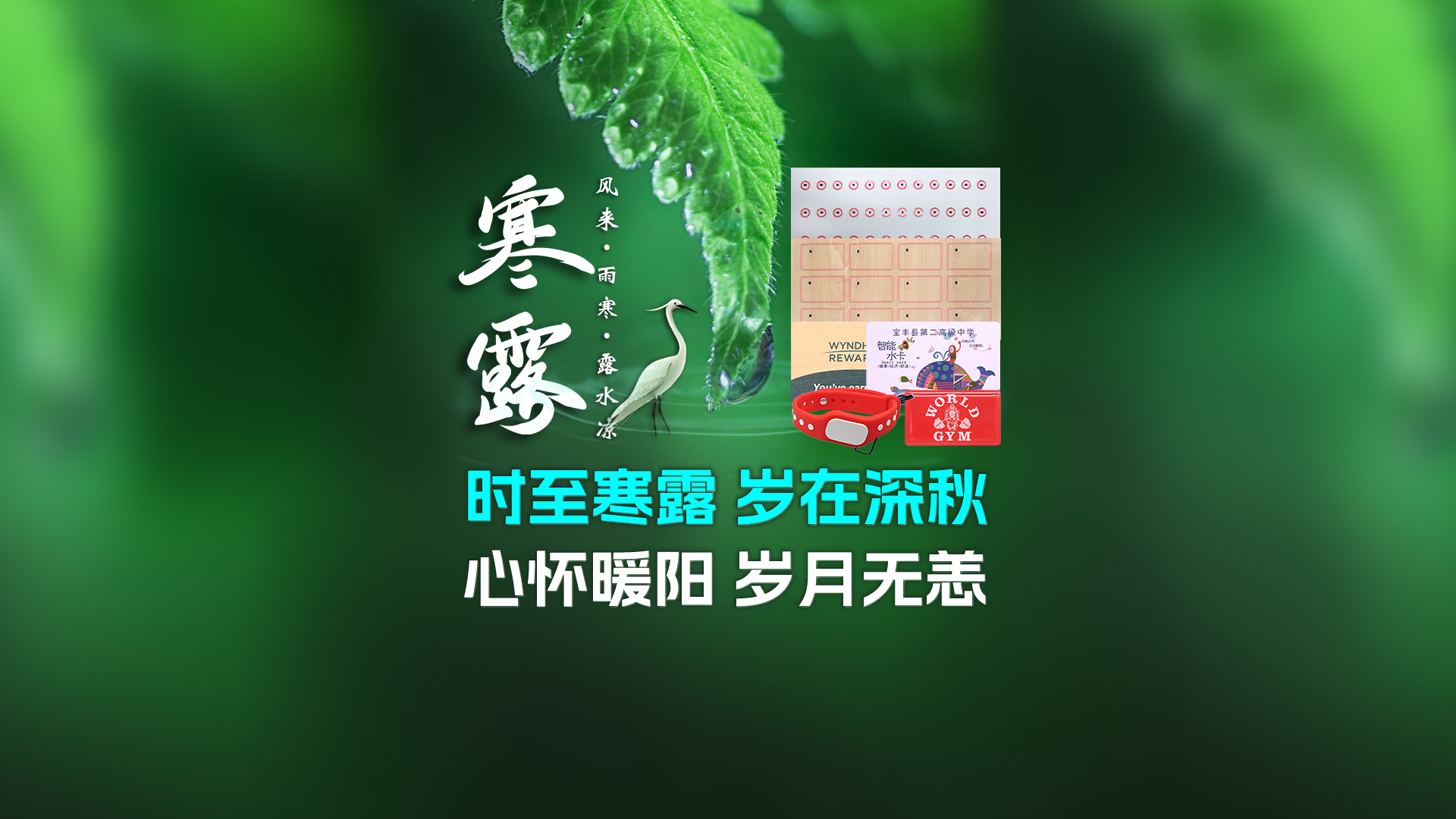 寒露至秋意濃，卡立方集團攜RFID智能卡中料木卡腕帶伴您暖度深秋
